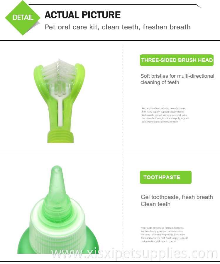 Factory Wholesale LOW MOQ Pet Cat Dog Toothbrush And Toothpaste Set